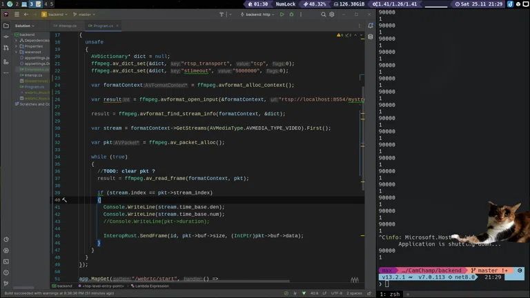 RUST + C# = HighIQ Kombi 🚀