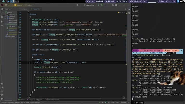 RUST + C# = HighIQ Kombi 🚀