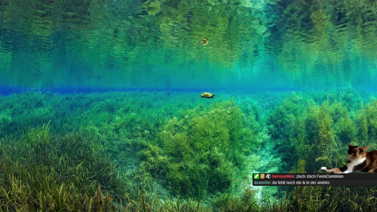 Mein Linux neu einrichten 👨‍💻 | Arch BTW 😆