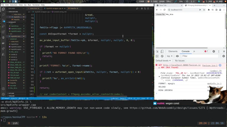 C++ WebAssembly + FFMPEG ... 🫠 MonkaHyperS