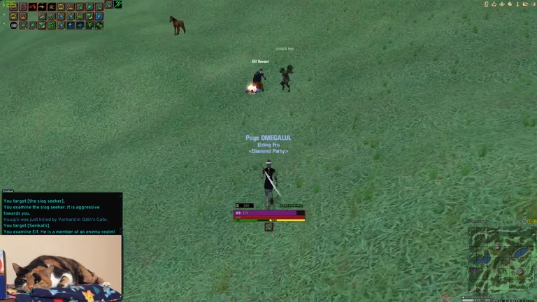 Pogs 8L1 Solo Skalde | Dark Age of Camelot Test Stream