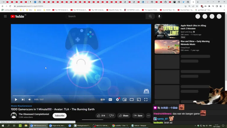 cute chat AYAYA 🥺