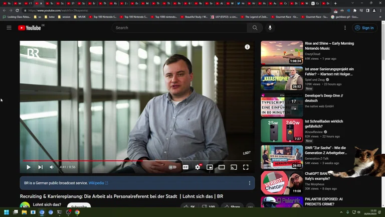 ✨ Aufwachen Stream 😴