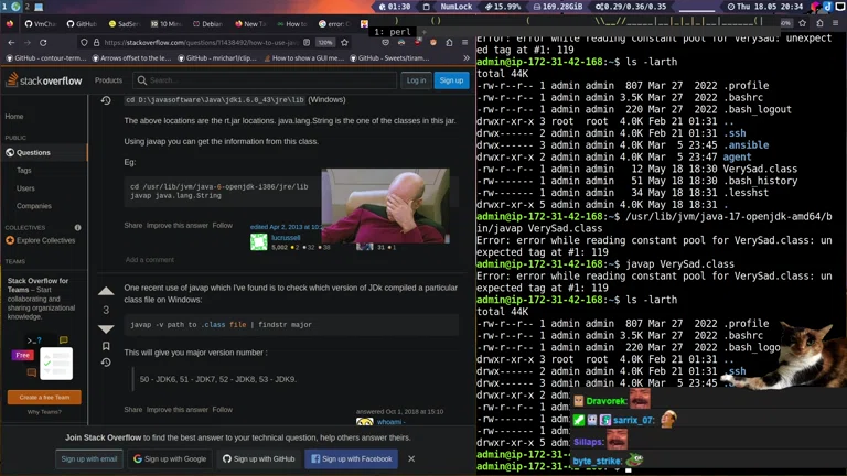 Neue Sadge Linux Server 👉😊🌞 (sadservers)