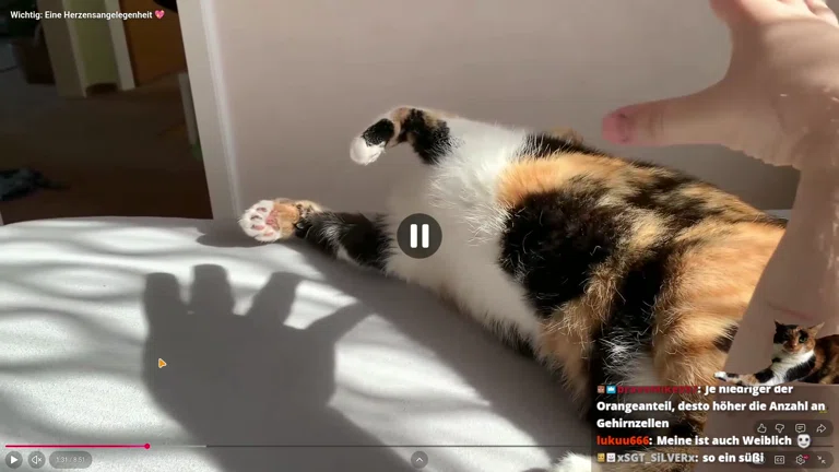 Random Cpp Flame aus dem Nichts?