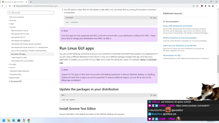 WSL + WSLg + Win11 in 2023 🤔