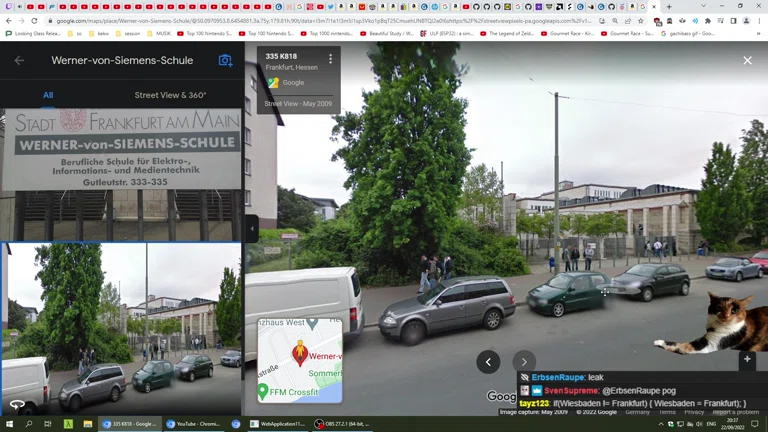 cute chat AYAYA 😊