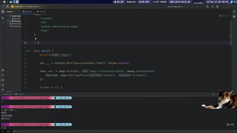 5Head Go Tool bauen 👀🔥 AMQP Message Bus