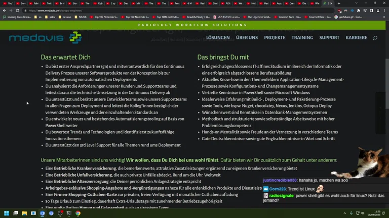 ✨ Aufwachen Stream 😴