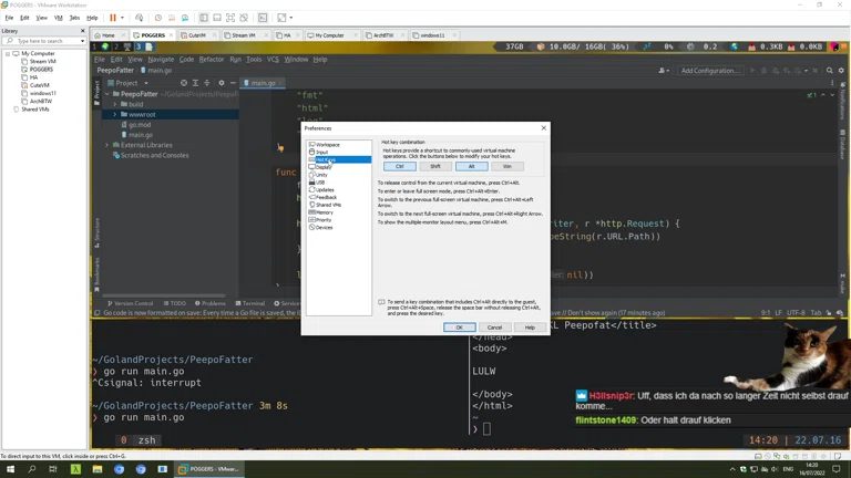 Wir lernen Go 😄🚀👨‍🚀