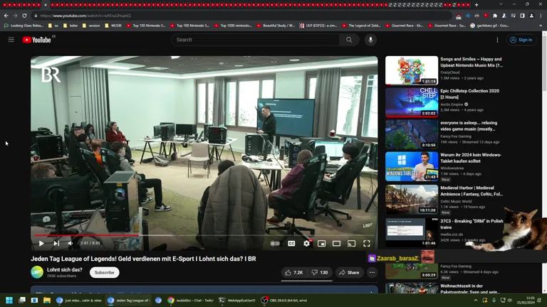 ✨ Aufwachen Stream 😴