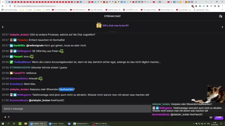 netter stream AYAYA 😊
