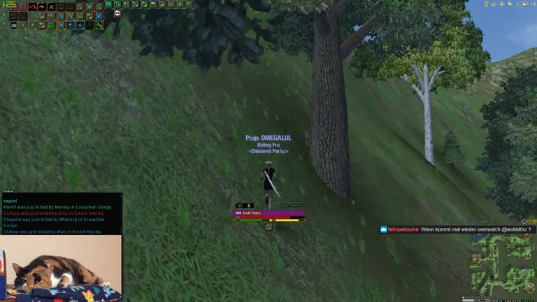 Pogs 8L1 Solo Skalde | Dark Age of Camelot Test Stream