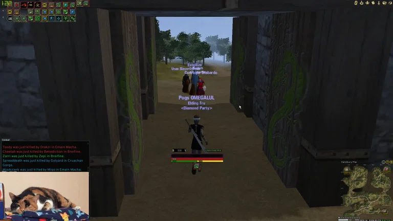 Pogs 8L1 Solo Skalde | Dark Age of Camelot Test Stream