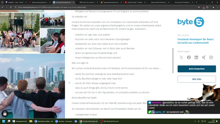 Stellenanzeigen Review Mai Edition 🛜