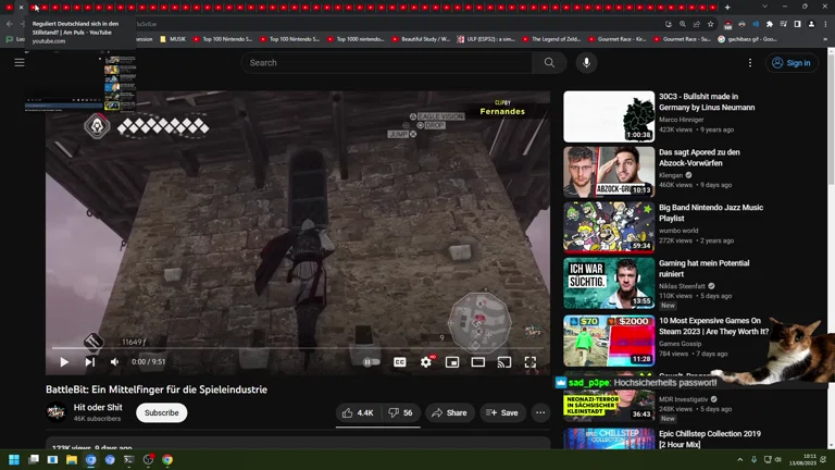 ✨ Aufwachen Stream 😴