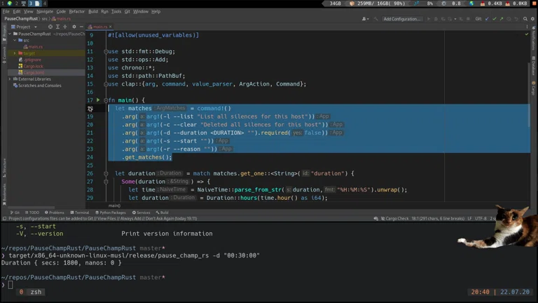Rust CLI Server Tool 🦀 DevOps TV 🚀🙈