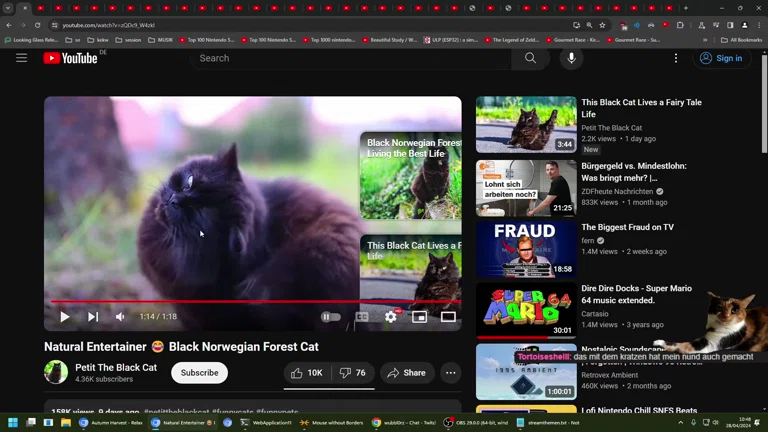 ✨ Aufwachen Stream 😴