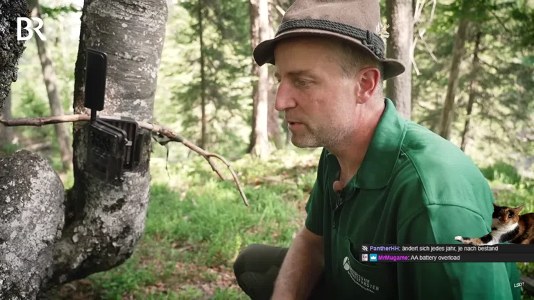 😴 Aufwachen Stream 😴