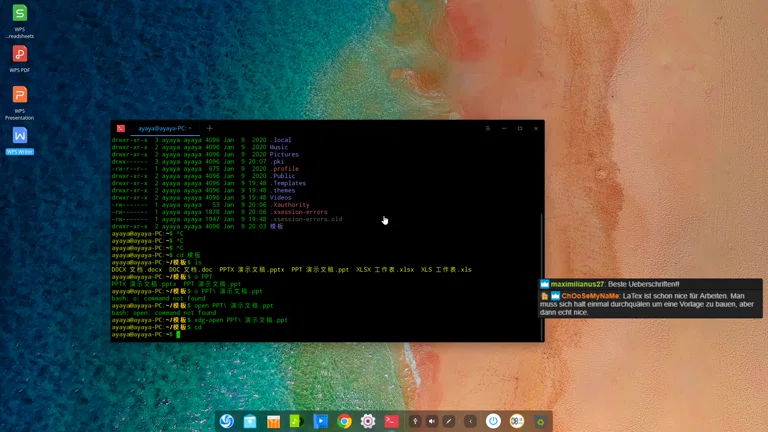 China Linux Deepin testen 👍 👎