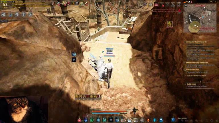 ez TET dande PogChamp