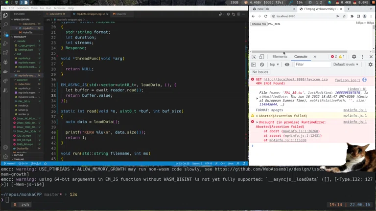 C++ WebAssembly + FFMPEG ... 🫠 MonkaHyperS