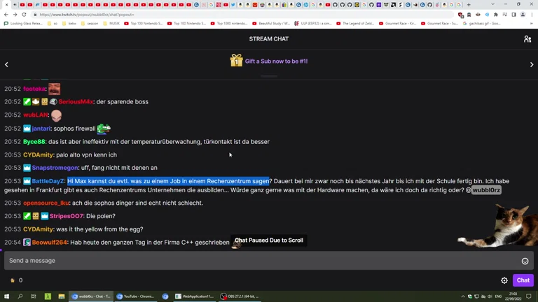 cute chat AYAYA 😊