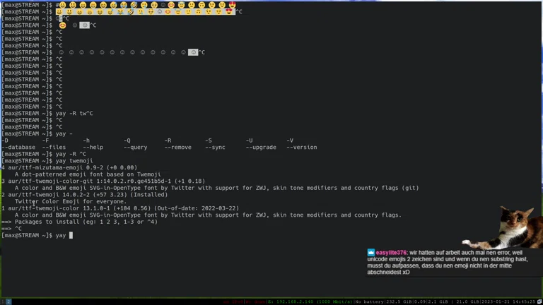Linux HACKERMANS ✨🚀 ARCH BTW 🫠