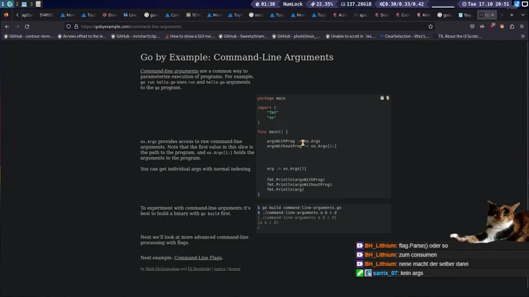 5Head Go Tool bauen 👀🔥 AMQP Message Bus