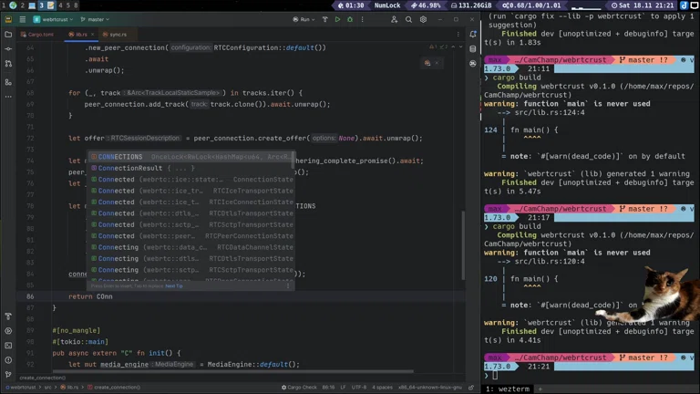 🚀 blazingly fast stream in RUST ... KEKW 🦀🚀