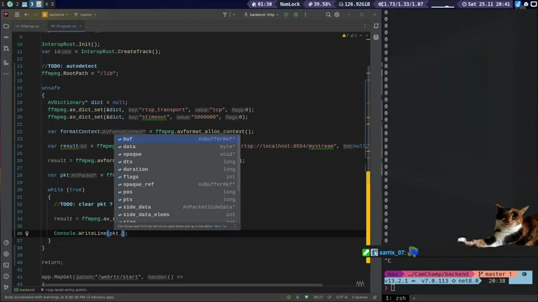 RUST + C# = HighIQ Kombi 🚀