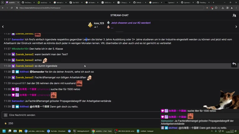 ✨ Aufwachen Stream 😴