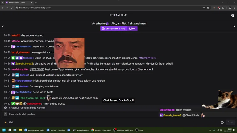 ✨ Aufwachen Stream 😴