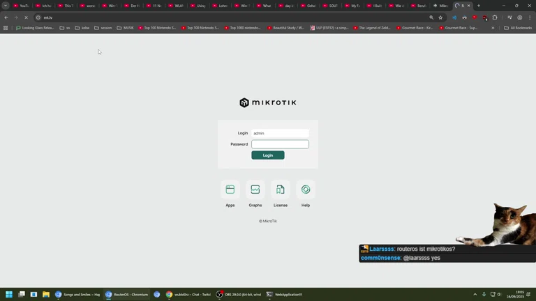 Nachmittag Schtream 🧠🤯