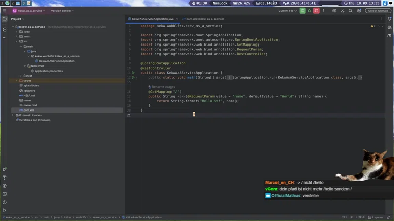 JAVA 😳 Stream + Spring Boot lernen ... als C# Fanboy 🌚