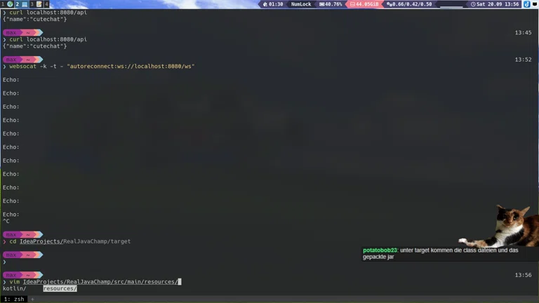 JAVA 😳 Stream + Spring Boot lernen geht weiter ... als C# Fanboy 🌚