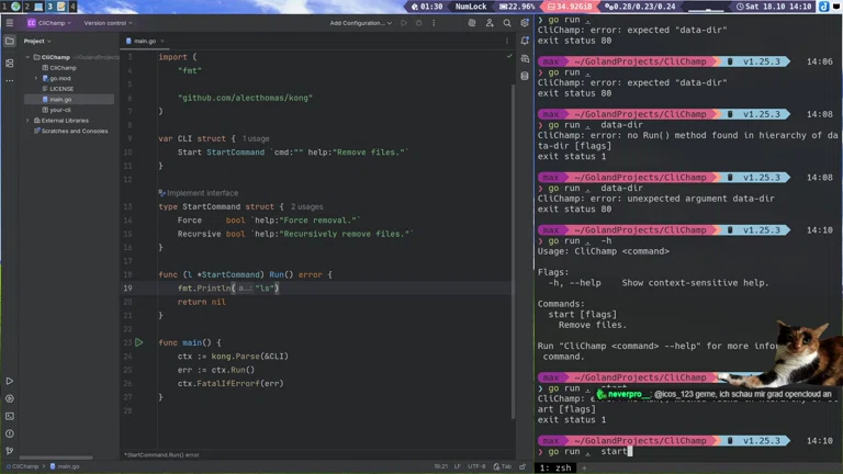🥸 Das beste Go CLI Framework finden 🔍