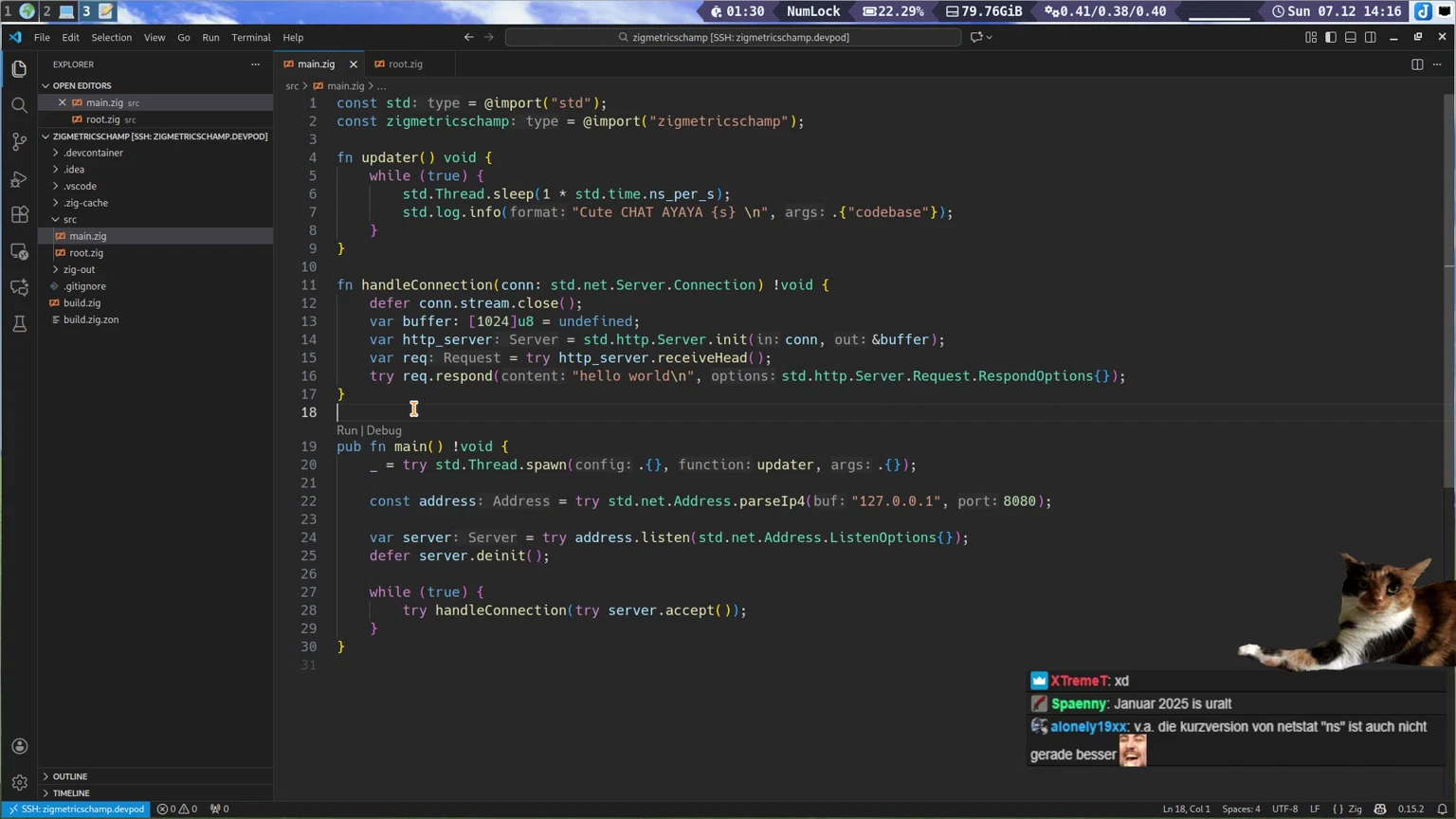 Wir lernen Zig Schtreams0r 🤯 Massive Hoher Chat IQ Erforderlich 5Head