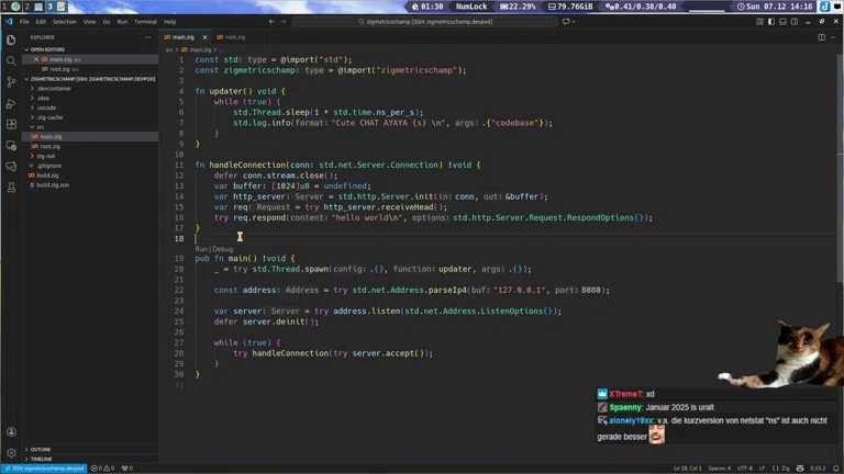 Wir lernen Zig Schtreams0r 🤯 Massive Hoher Chat IQ Erforderlich 5Head
