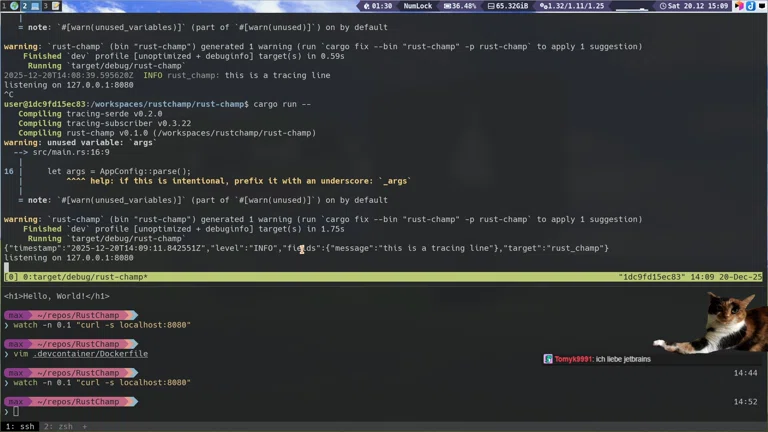 R U S T 🦀 Für 1.08e+7 Millisekunden 🔧