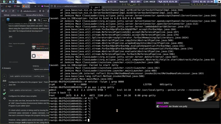 🥲👉☺️ Traurige Linux Server Fixen | sadservers.com