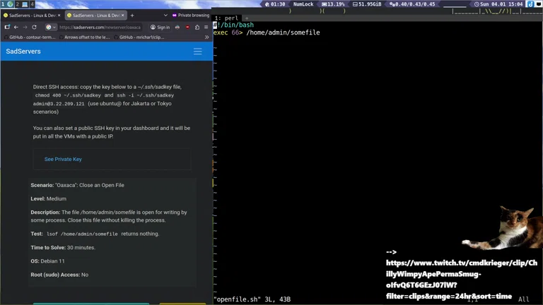 SadServers Heute Wirds SCHWER 🤯 Senior SRE DevBizSecWinLinOps FullStack 3Head Engineer 🧑‍💻