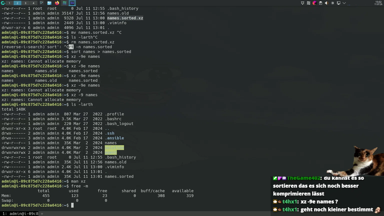 🌚 HighIQ 10x Senior DevSecBizWinLinOps Engineer Repariert Linux Server | sadservers 🐧