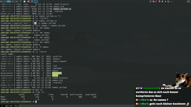 🌚 HighIQ 10x Senior DevSecBizWinLinOps Engineer Repariert Linux Server | sadservers 🐧